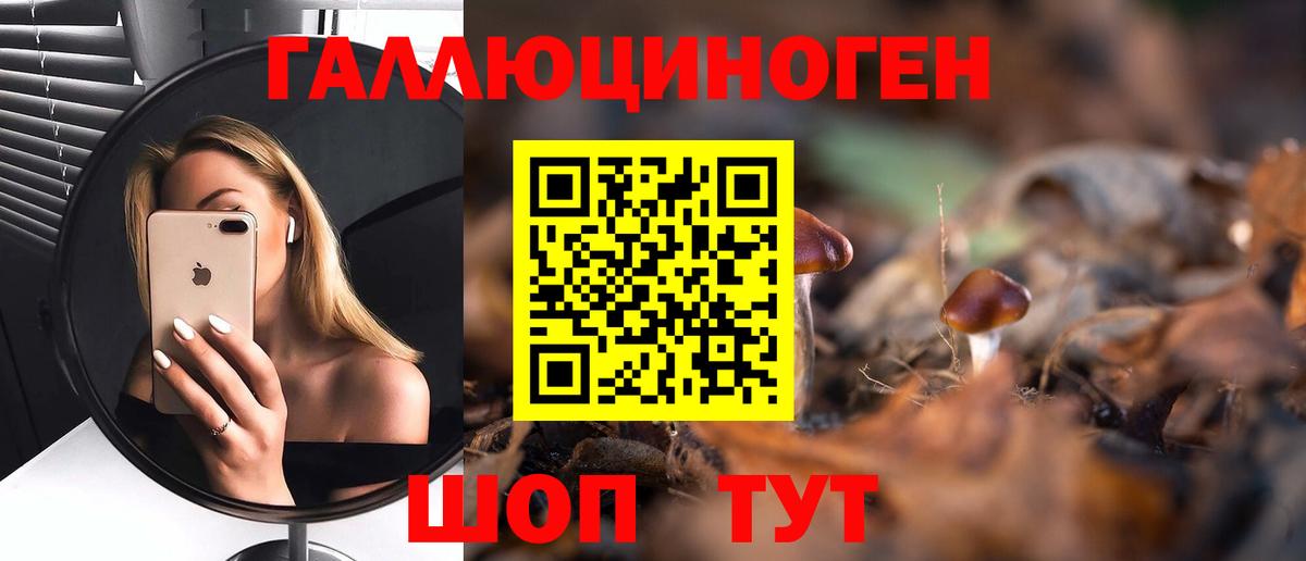 Псилоцибиновые грибы мицелий Киржач